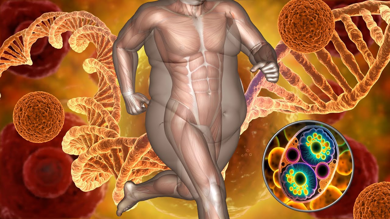 Illustration of accelerated metabolism burning fat